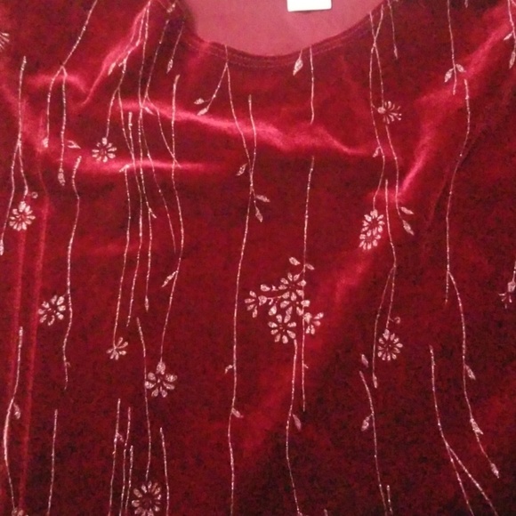 Beautiful Velvet Blouse - Picture 7 of 8